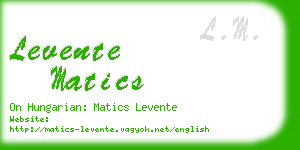 levente matics business card